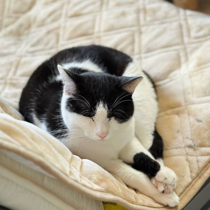 024a2d9e 3f5c 4381 968c 2a5ec2ae3670 1674786912251