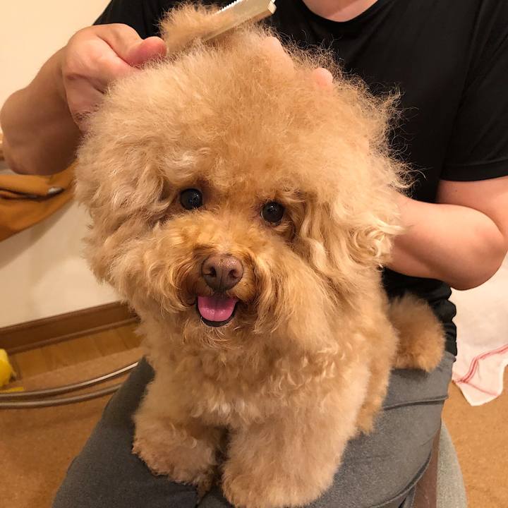 024a3fd0 922d 4e8c be15 879050d86259 1566476862699