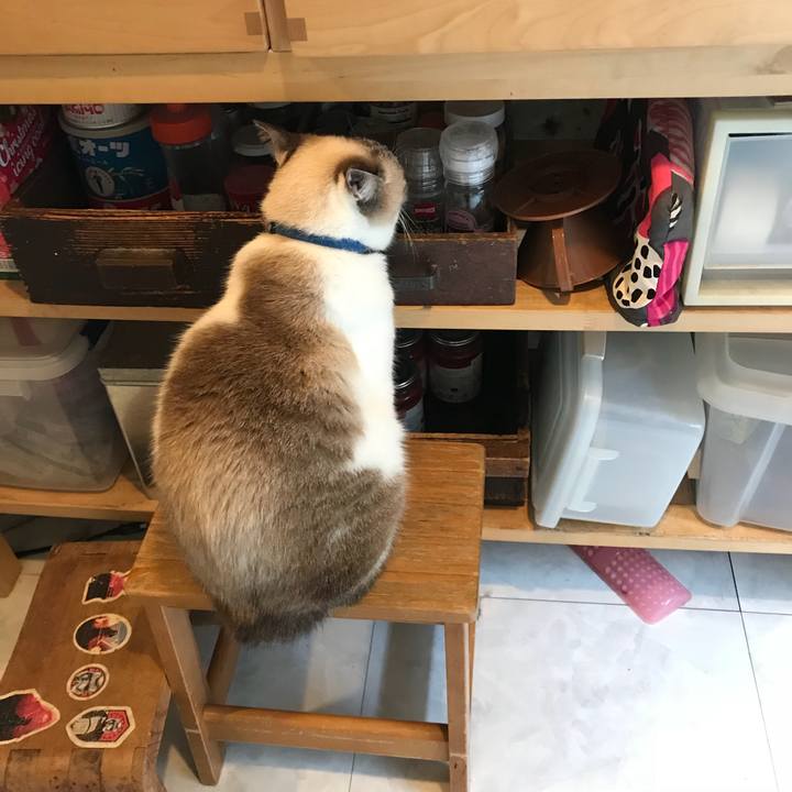 024a456a 2432 4aca ab0e e0eda51de573 1527751590914