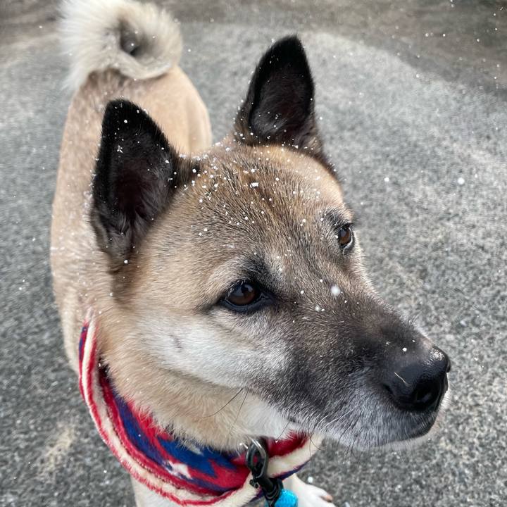 024a5d8c f437 422f aedf 80e5903b6389 1702812952378