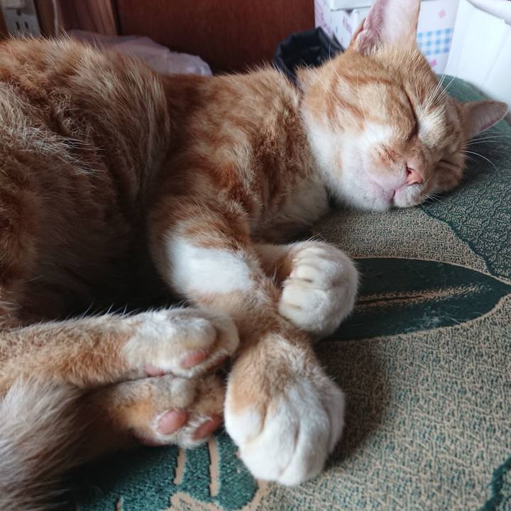 024a68a5 9d76 4fa2 83f6 aabf734ba86e 1566596731548