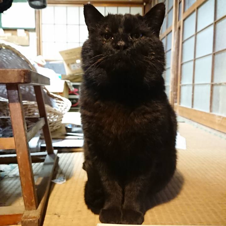 024a6a72 ae98 4a92 a8cd eeae748e45f8 1617182866572