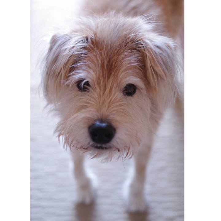 024a7907 7943 4780 a7fe fe6a1096f98a 1604901976700