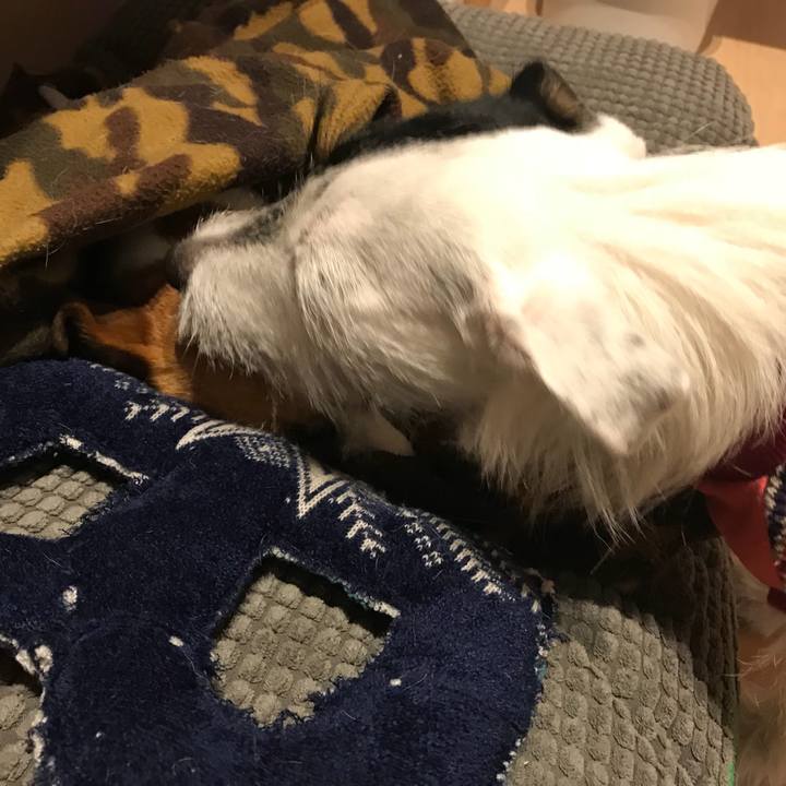 024a9041 13c2 4da2 bf6d 0bdd5d805b77 1511612011127