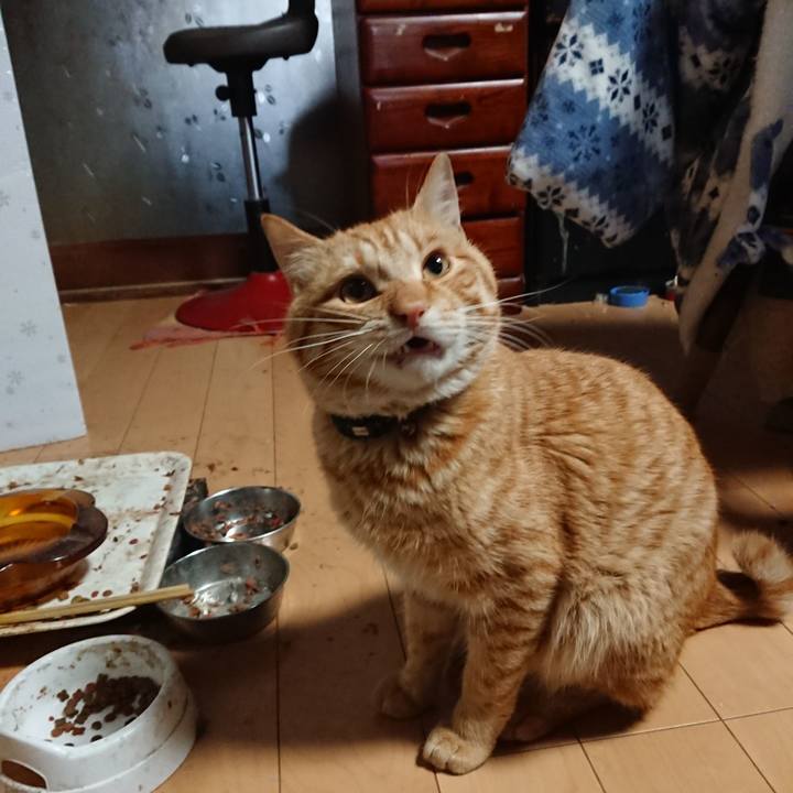 024a90c8 6adf 40e4 a4f2 464a2a9836ad 1649624312503