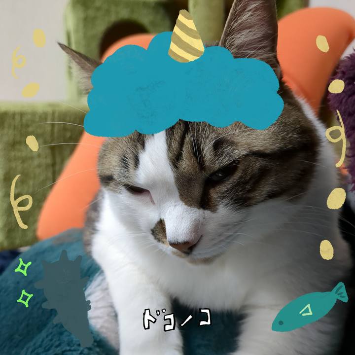 024a9408 6ad0 41dc b87a fd1b6be16e07 1706753624339