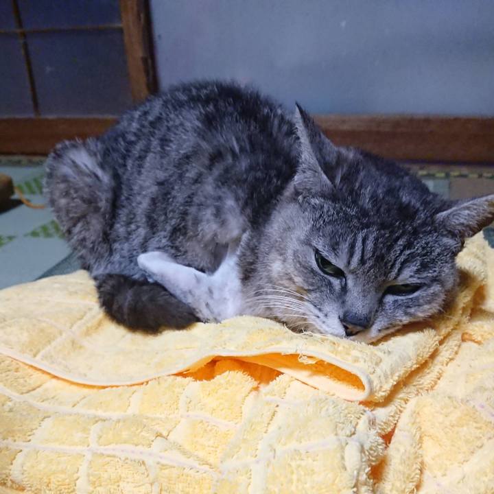 024aa093 54d7 4af1 9757 05c1db0e4238 1589364068582