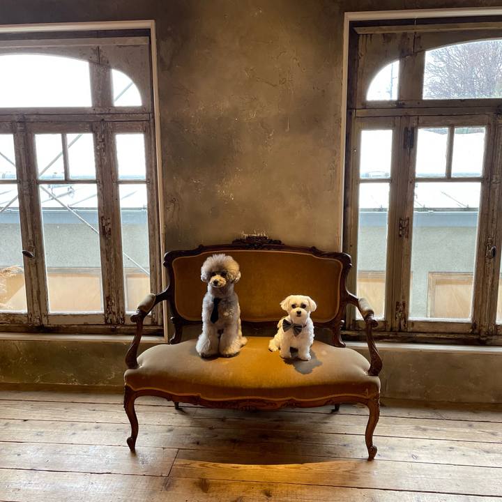 024acc4a 8963 496d bc88 16353be36a66 1645279143339