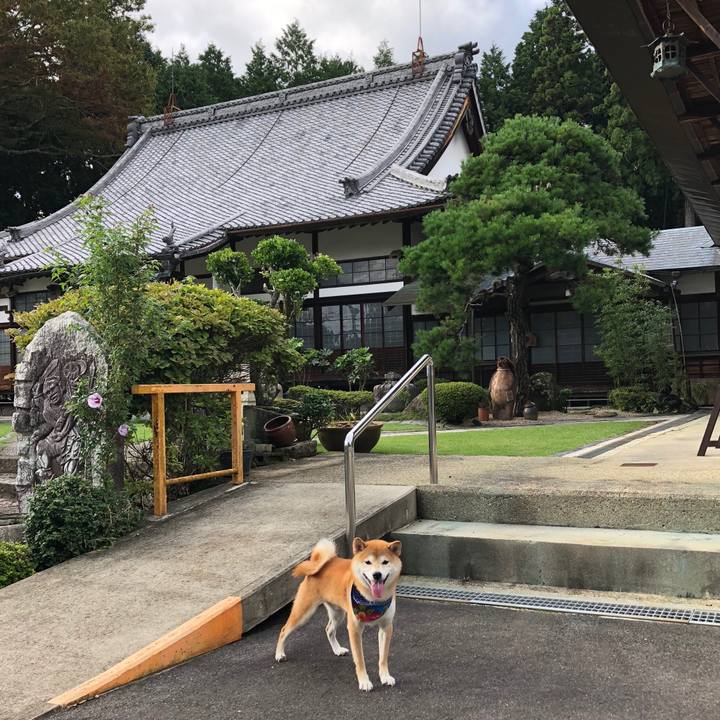 024ad2cc f27d 46ec a2a2 0102e2e09d6d 1537352624415