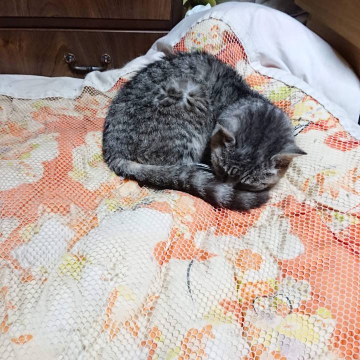 024b0e15 4edc 4043 830a 37d46a415076 1604403813446