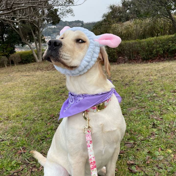 024b3475 1f44 4bdb b1e8 cdc6cf3a5349 1641993441000