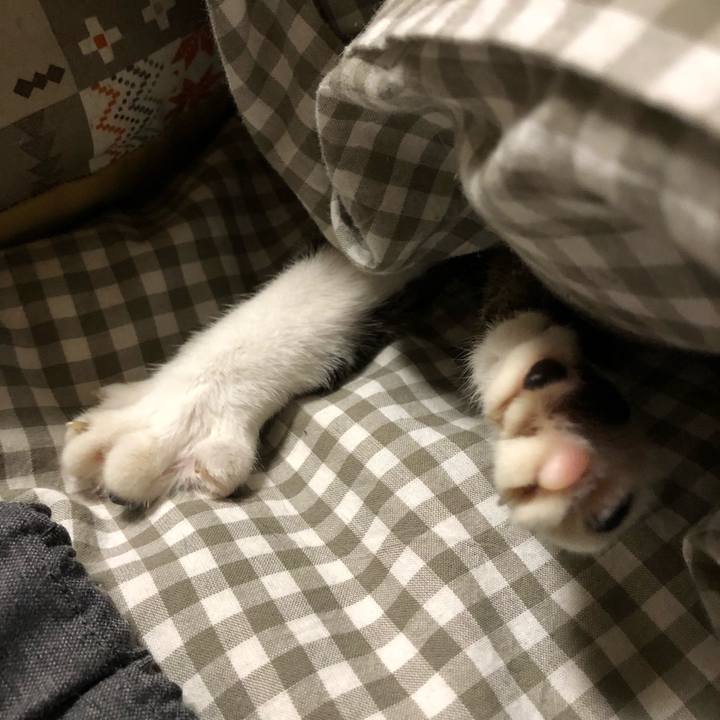 024b364a 72da 4f51 9370 7987fd1782dd 1516715409037