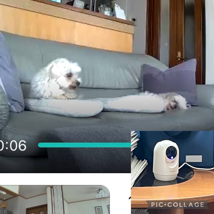 024b5f67 892c 45fe af23 42816aeafe0f 1747018074059