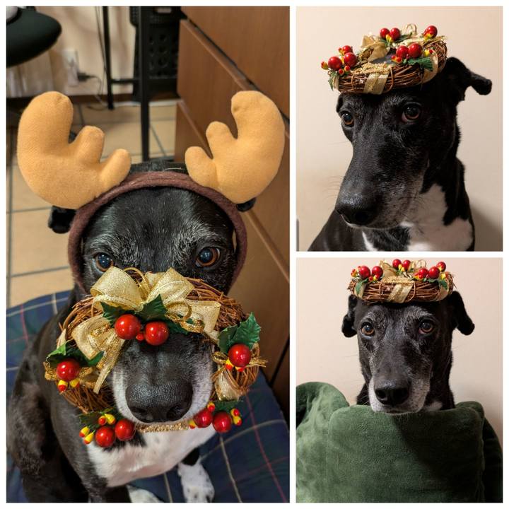 024b8ab6 db21 4325 be94 a31278364ccf 1766574033247