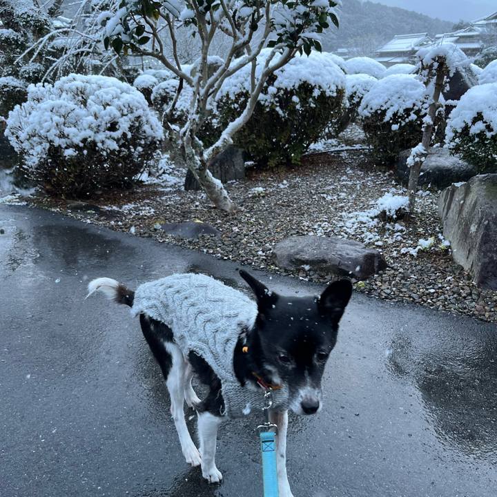 024baece 44ca 47f4 8a35 c2c2399d25ee 1764820144517