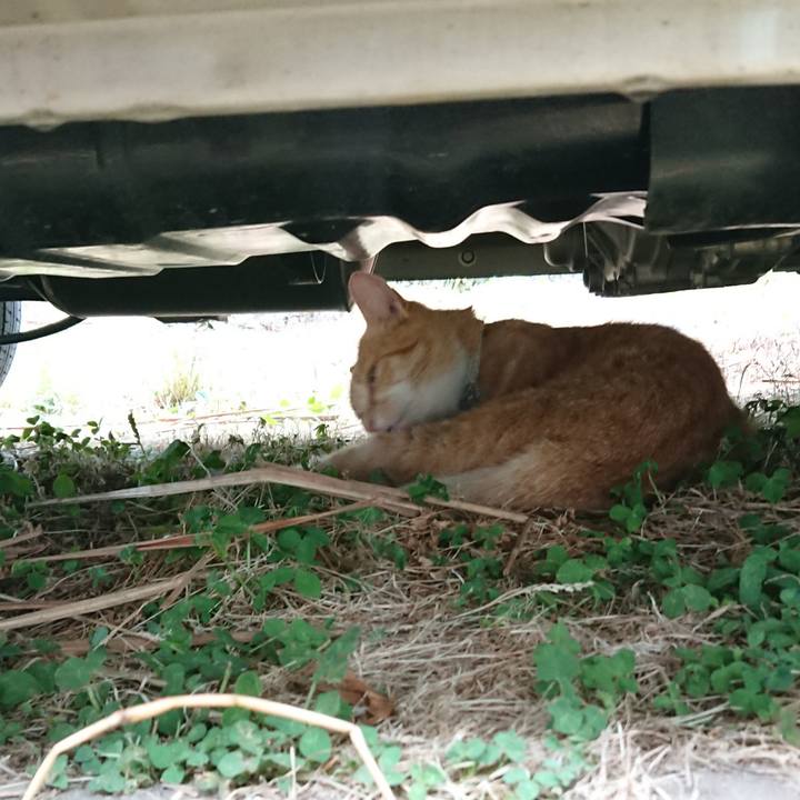 024bc13f 5e02 4b52 95d8 21f12340c3bc 1592111616740