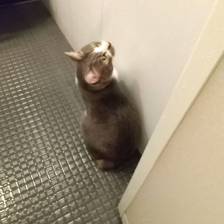 024bd076 5c88 4416 9d9f bd0245ef93b7 1643924167476