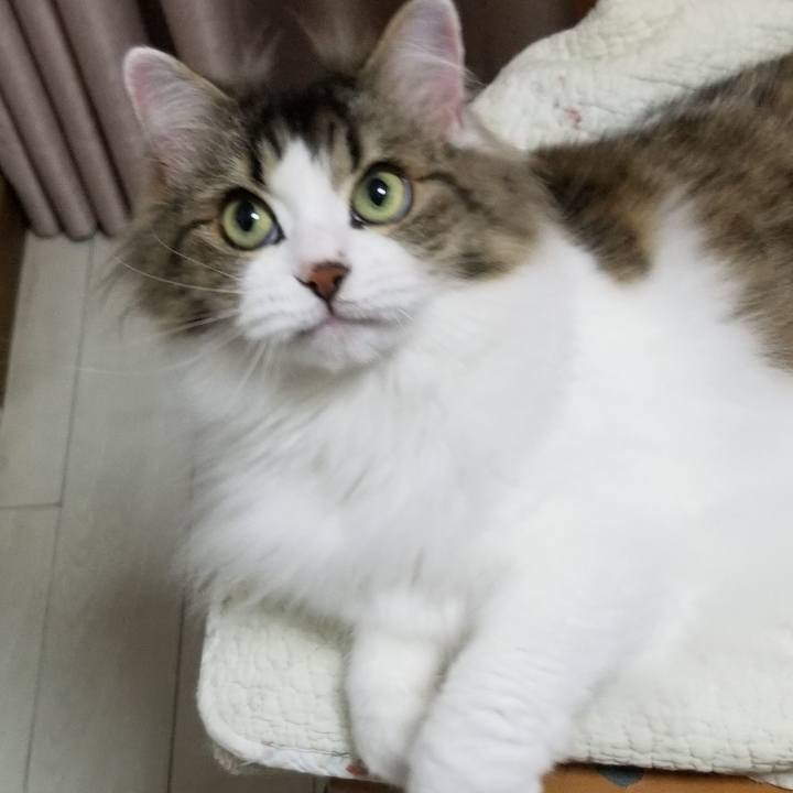 024c294f 4fae 4578 a46b 8b0b0d558da5 1562936557067