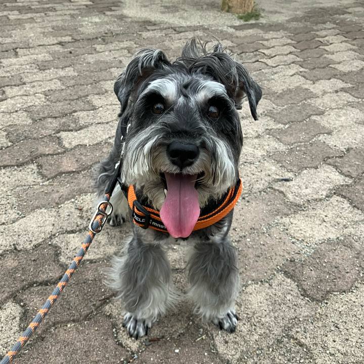 024c2b70 536b 41bc bdd9 79b4def9aa4b 1726877096967