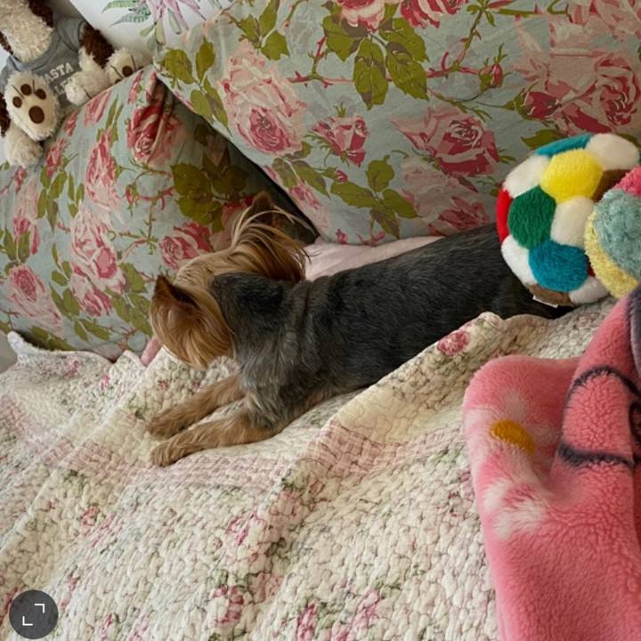 024c2f1f 36ba 47ce 86a3 d981abc79597 1626149167442