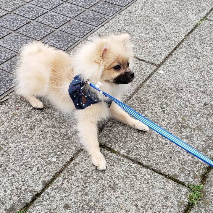 024c559c 07b4 41f5 9dd6 f35a2aafe548 1616937098962