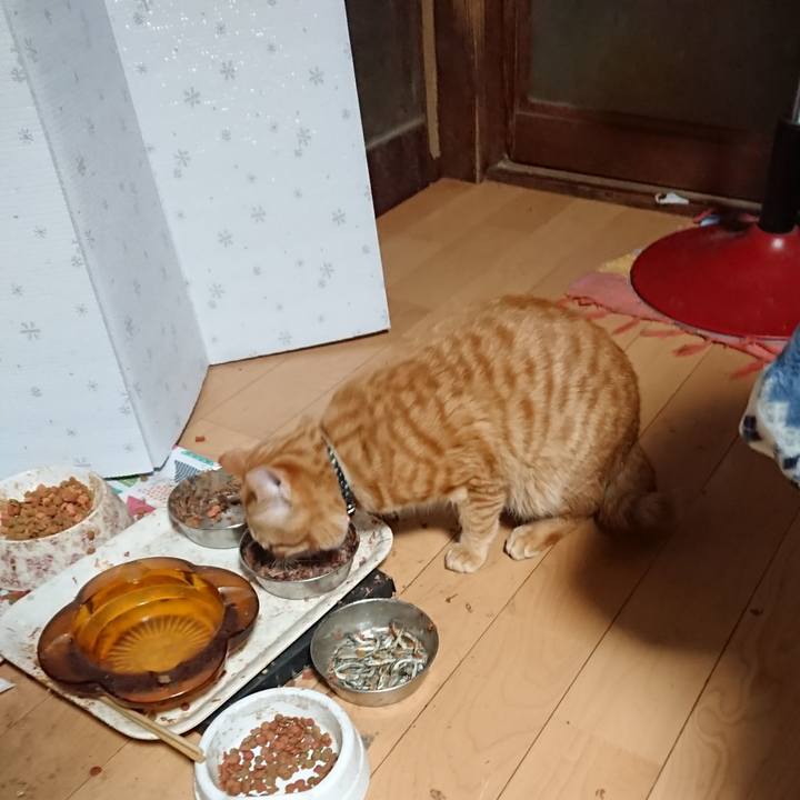 024c63c9 f3cb 47db 9b9a b9746b7f8e78 1646513699332