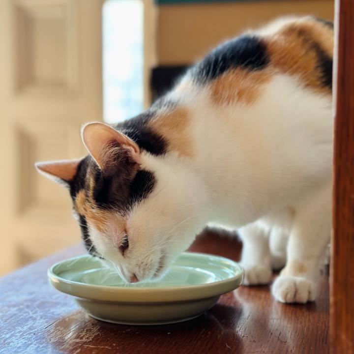 024c8a34 0f79 4bc8 ab46 0da1ecdbc43d 1691712772774