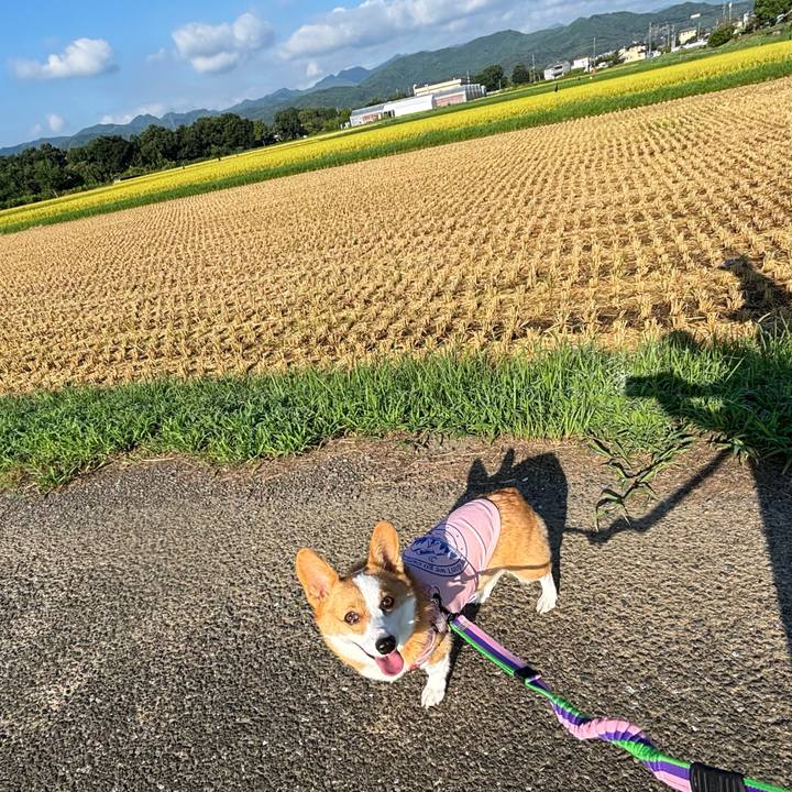 024c9b0c f5fb 4e65 8169 b874ddb3bb69 1757217413257