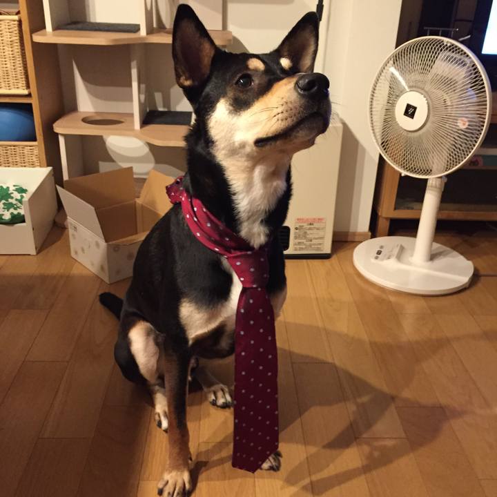 024ca19b 7ac9 4ef9 9e33 936b3db0a7e3 1510576911490