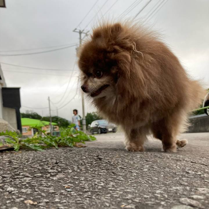 024cb35e 0746 49dc 8276 dbc61f752cc5 1723926496618