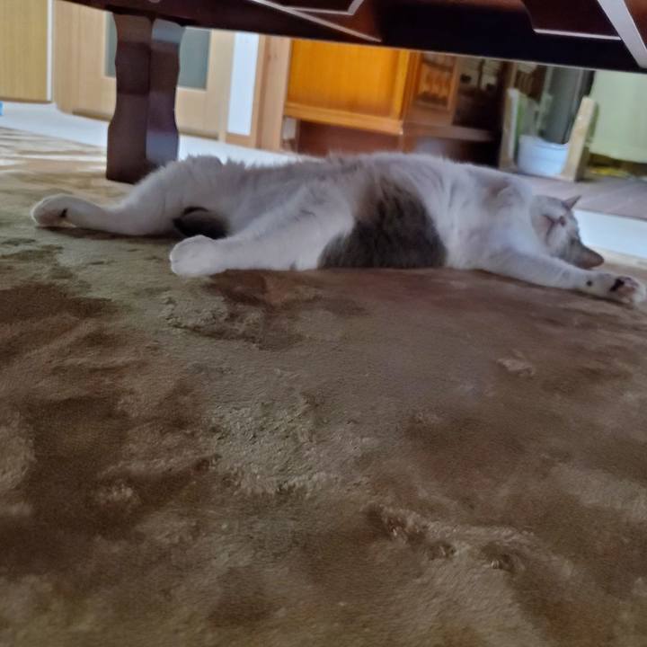 024cdd42 6518 4918 a90d 378e3be0287b 1710594605291