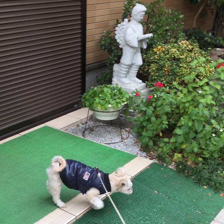 024cfbf1 3de4 4aad ba3b ee52423395a8 1544329764064