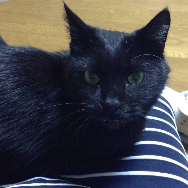 024d07b5 193a 4546 bfc0 c2440da303fa 1600940525132