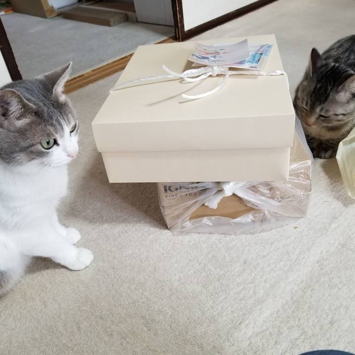 024d417e a4fb 4421 9945 e49cb93cab37 1679152254730