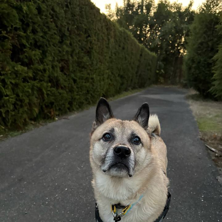 024d4f7d d239 4234 8212 16a8080f466e 1733405021709