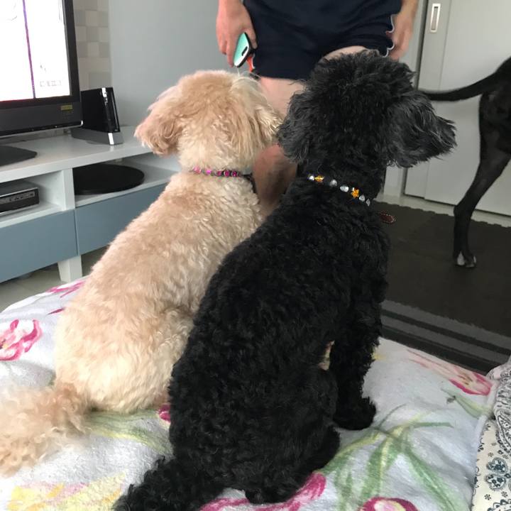 024d60c5 4420 45bf be73 038b166e3af1 1532846527179