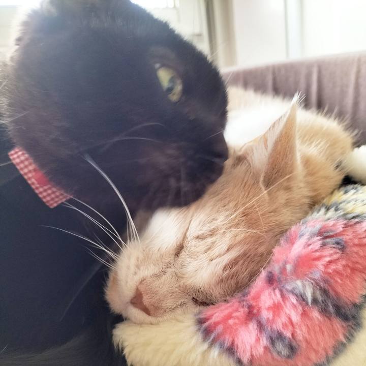 024d8156 a99b 4b7d a1be 9b1b4ce3344a 1702351465591