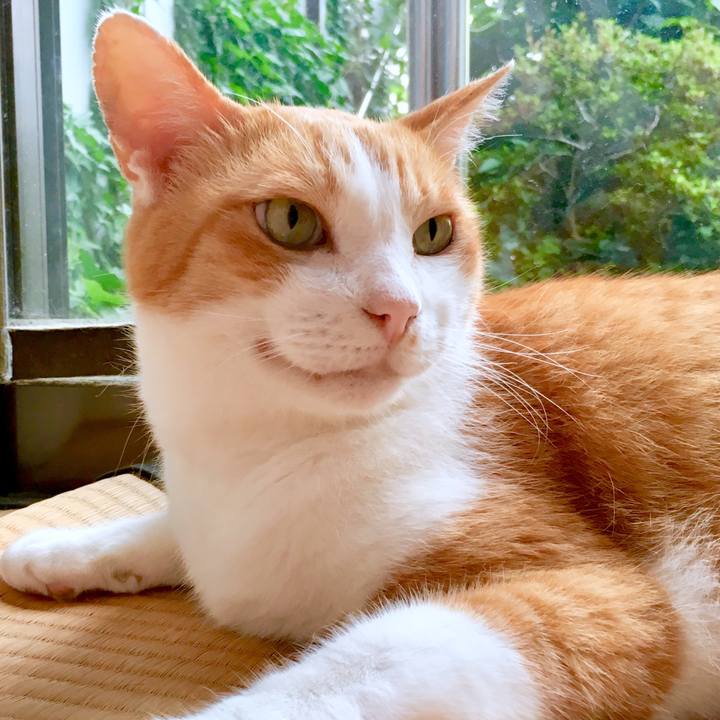 024dcd78 a50f 4aaa ad27 743c45463287 1566099746492