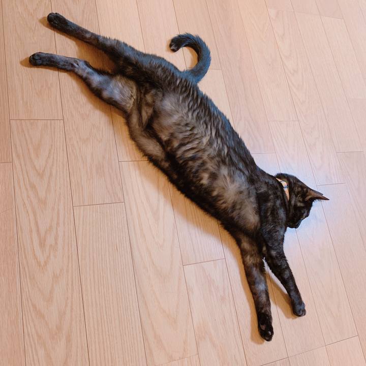 024de7f8 492b 467a 93f4 f5e2eab285ca 1554083263841