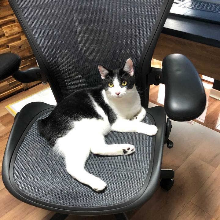 024e2222 66bc 4506 bfb3 1b24e5c47d26 1634194612693