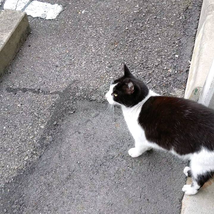 024e3bc8 c044 413a bd27 797a61f6dacb 1604704764185