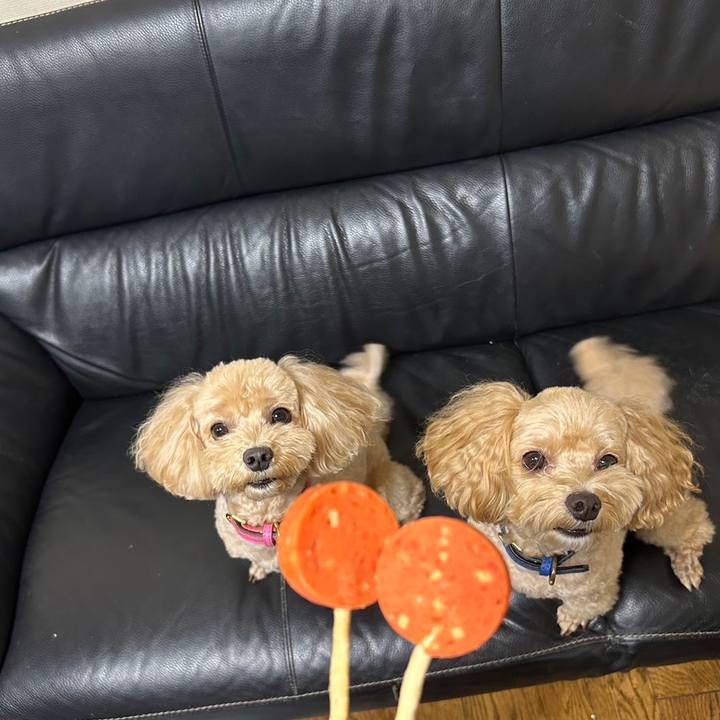 024e8ea0 e223 4f63 bc61 69bf11f70c53 1694000820130