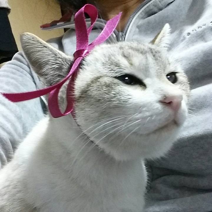 024ecffe 1b7f 4d8e 8002 a9ce5c78e1cb 1517321838285