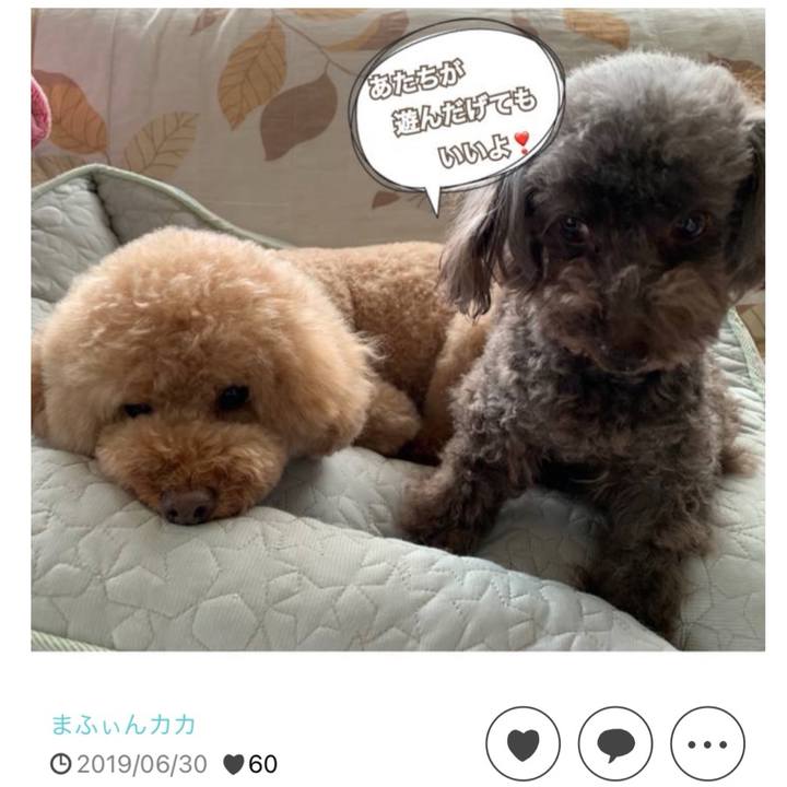 024f053f c1a8 43fc b782 caf8c17ab60d 1720151431000