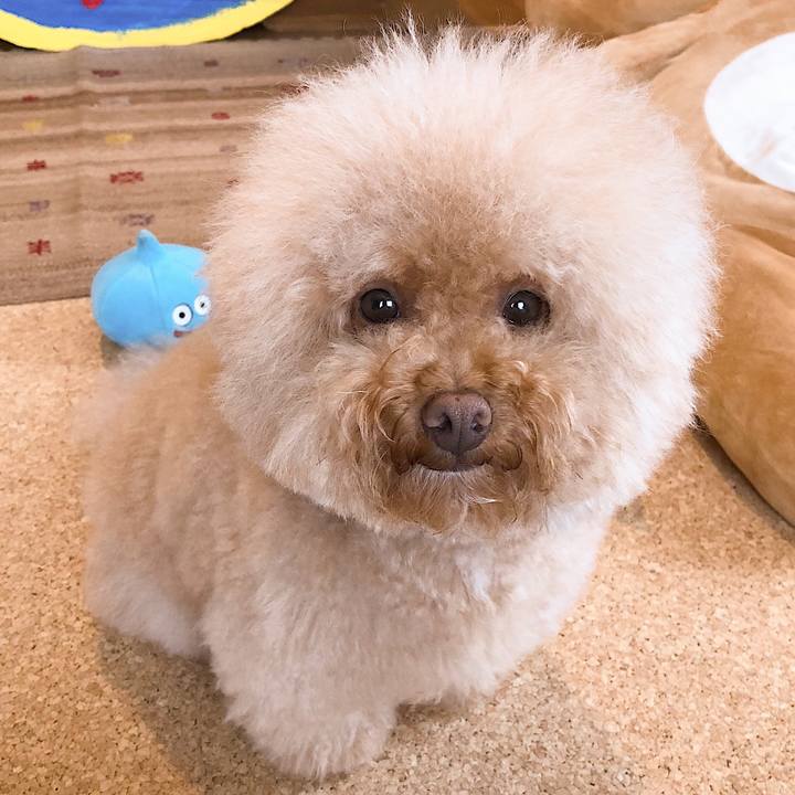 024f437a c2b2 411e 899e b096e65aadd2 1536398063860