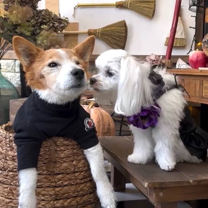 024f4729 7bba 4298 87ae d0272fa17979 1716812830425