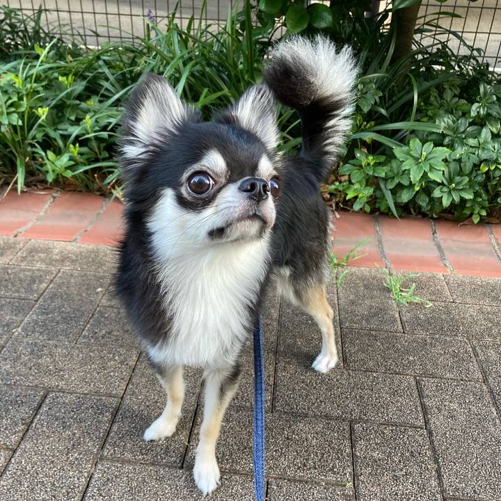 024f9e21 c857 4b5b a46d 9d4efbc593b1 1628287405378