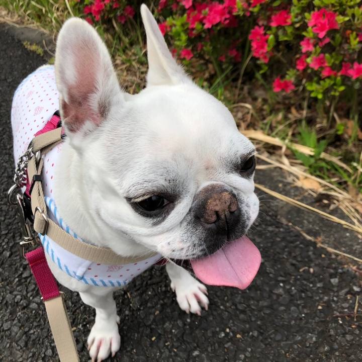 024faa55 0b17 4de5 a5a7 8e6f70e0b821 1556027481537