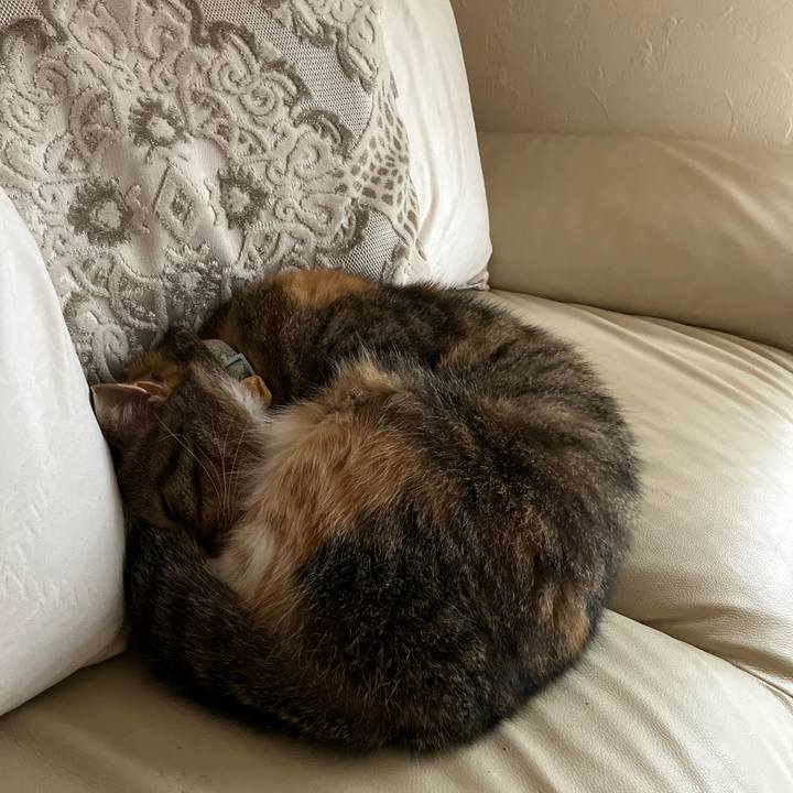 024ff962 fcd2 43d2 b3ca 610c951c901f 1757664409109