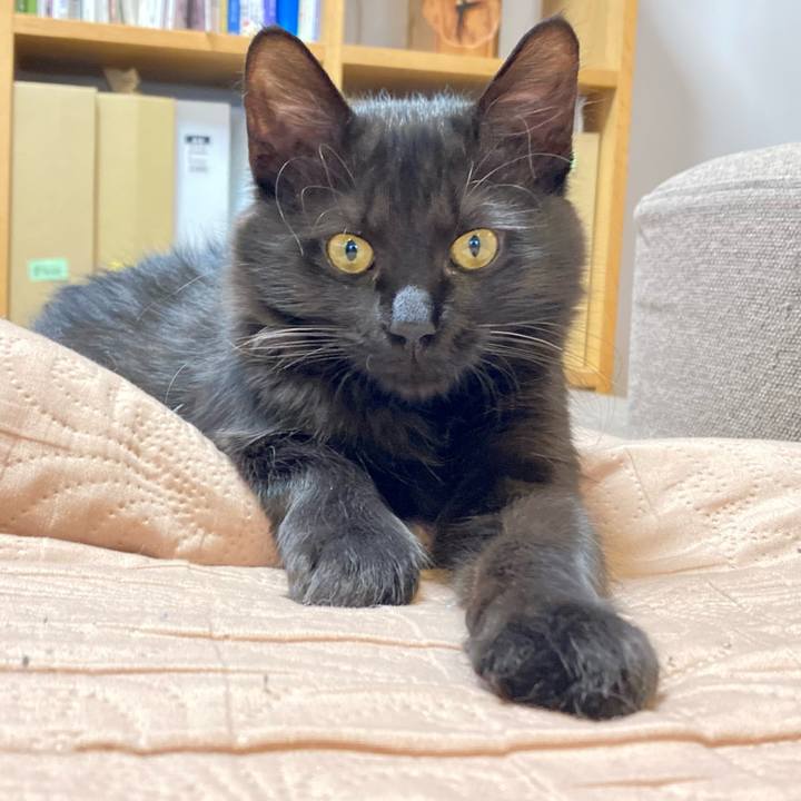 02508a12 fbef 4cd4 9a39 ac645cad2b24 1705728877139